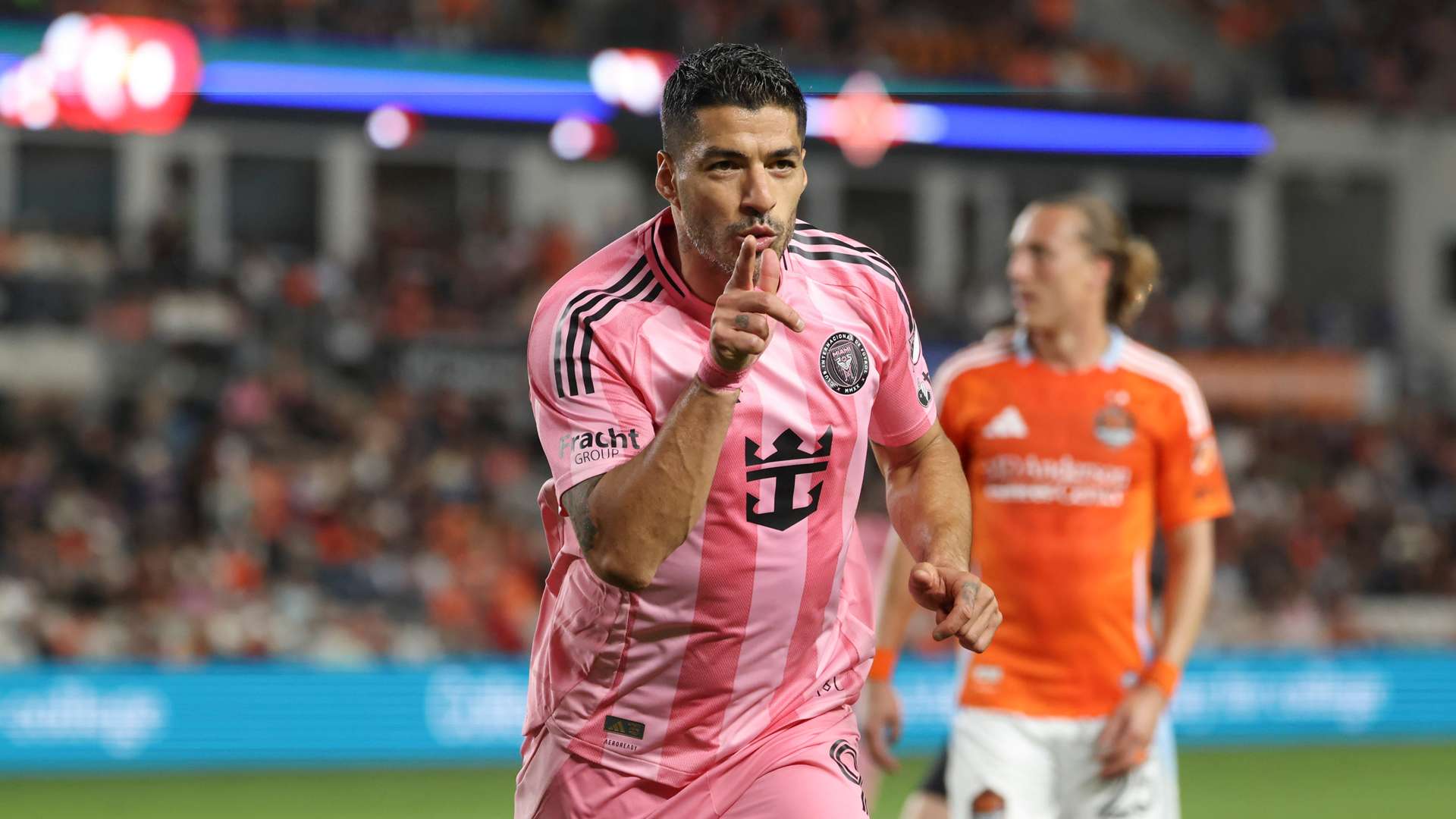 他曾观察到 他曾观察到