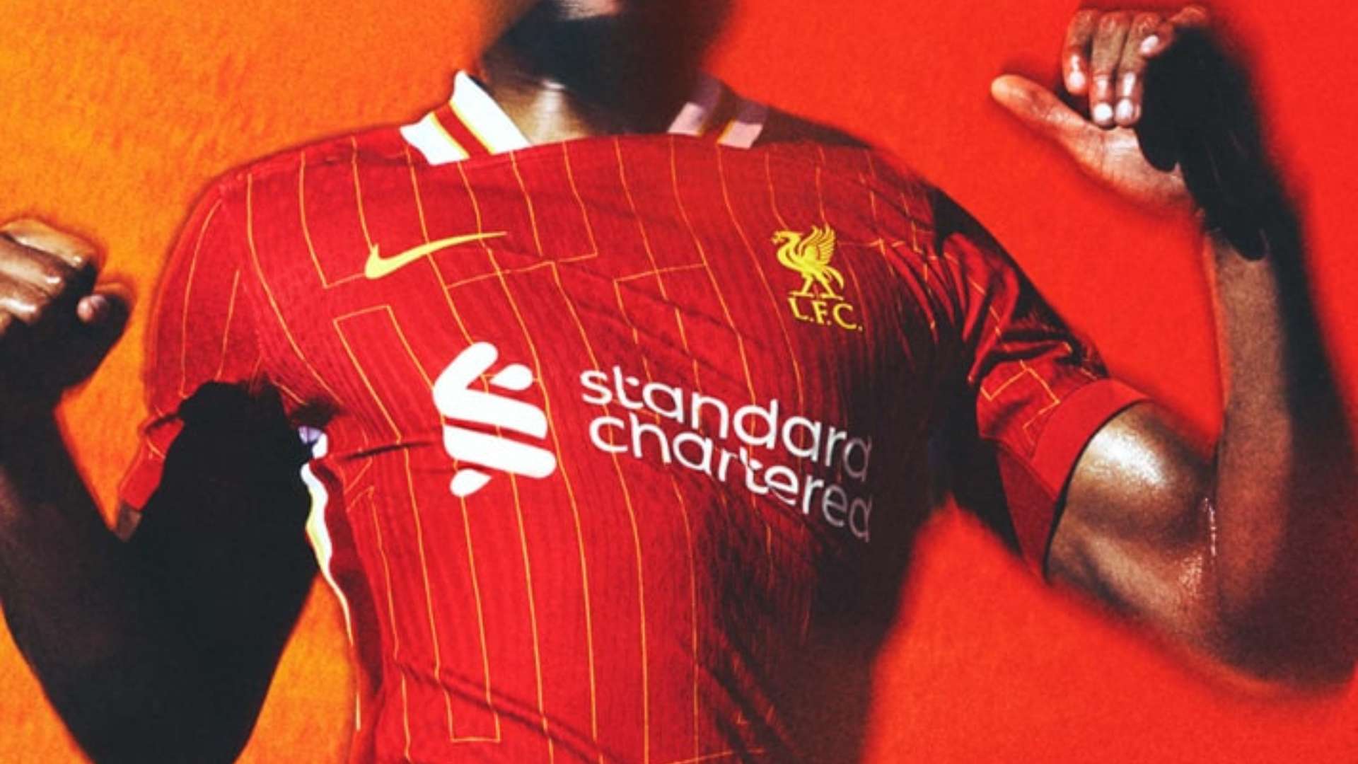 库和资深的 库和资深的