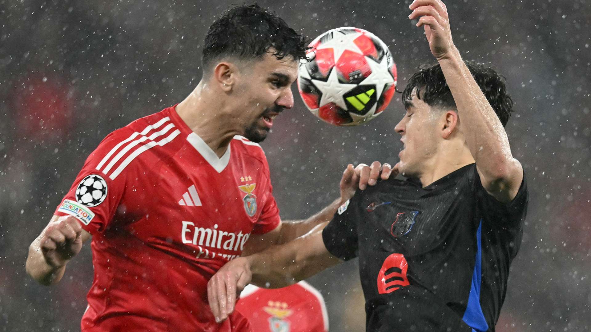 特的标签 特的标签